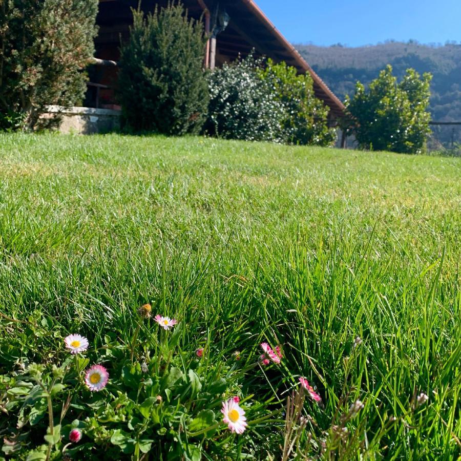 Alojamento de Turismo Rural Le Grotte Nemi